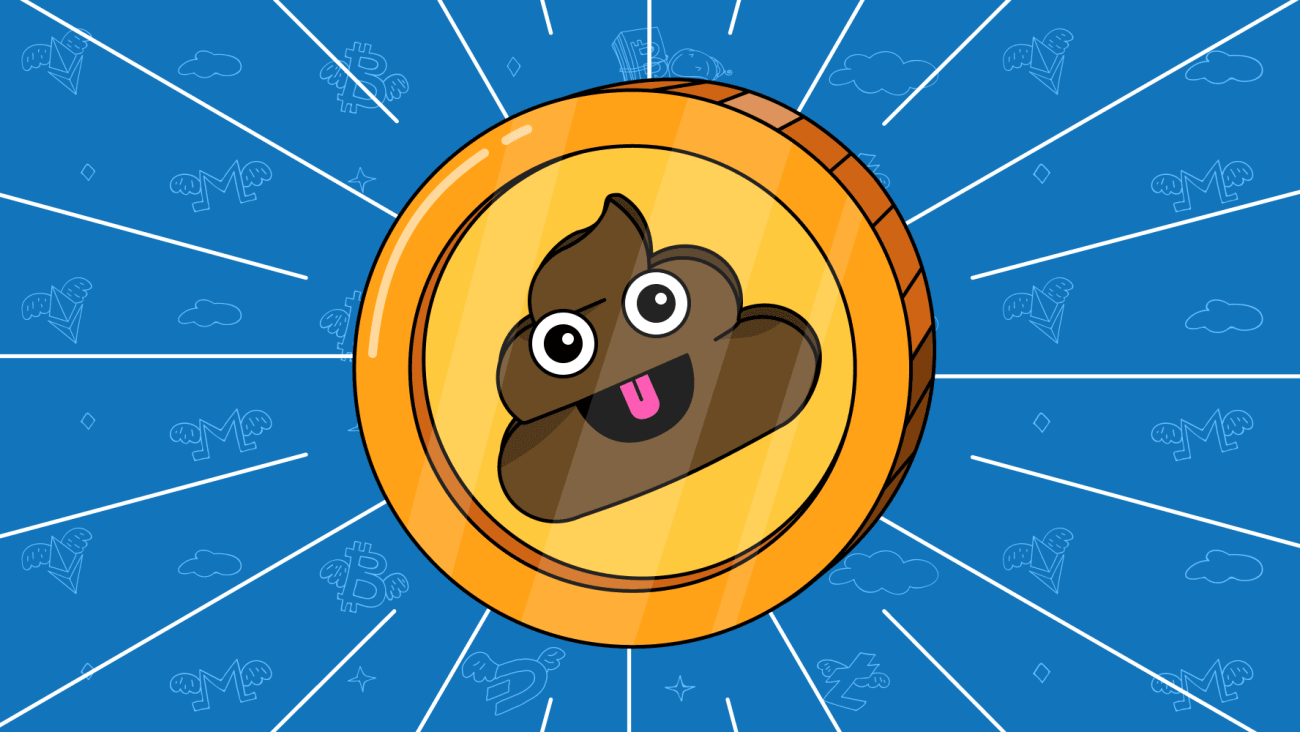 The Life Cycle of a Shitcoin