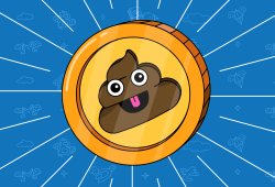 The Life Cycle of a Shitcoin