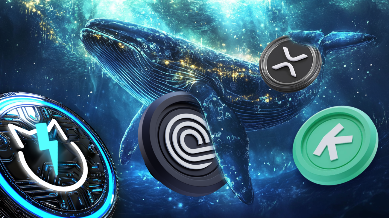 Following the Whales: The Perils and Pitfalls of Copying Large Crypto Wallets