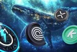 Following the Whales: The Perils and Pitfalls of Copying Large Crypto Wallets